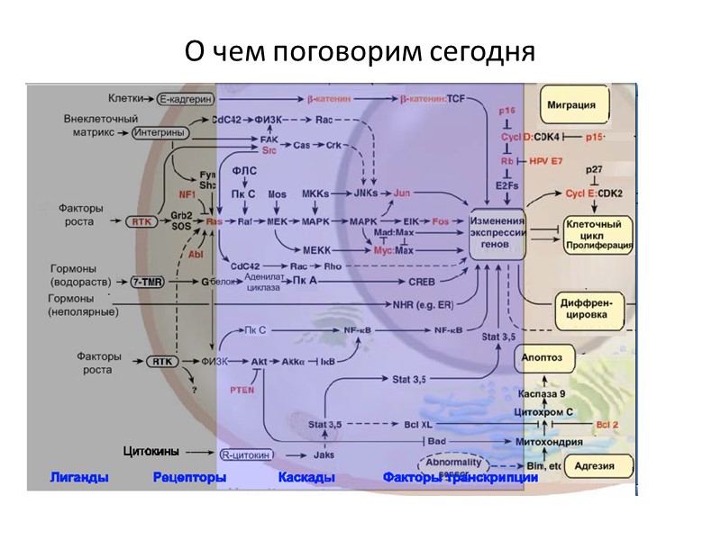 О чем поговорим сегодня